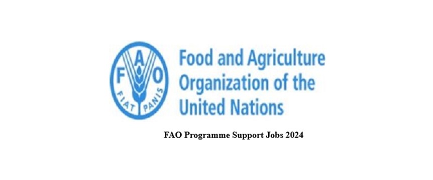 FAO Programme Support Jobs 2024